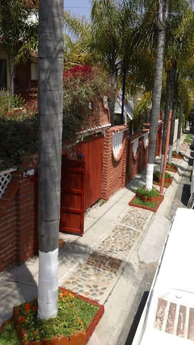 Amazingly Romantic Vacation For Your Honeymoon Tijuana Eksteriør billede